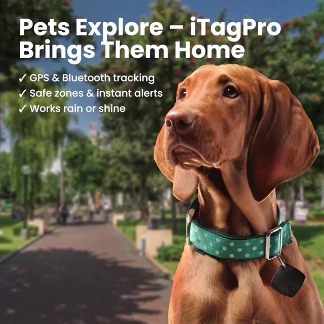 iTagPro image